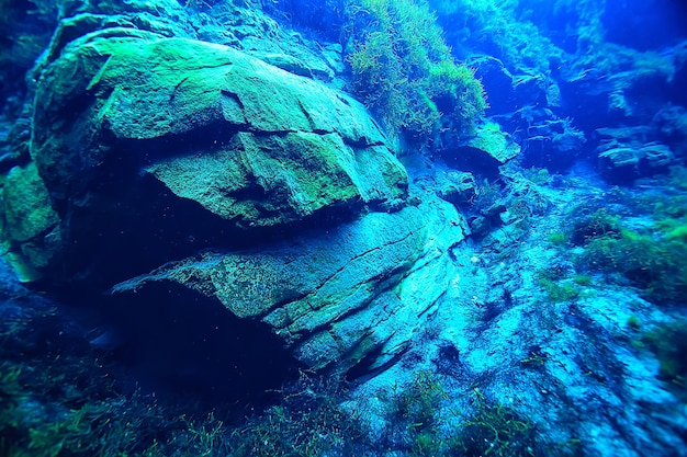 Ver lago submarino, ecosistema de paisaje de agua dulce agua clara