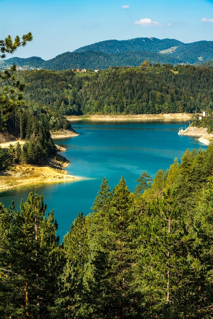 Ver en el lago Zaovine en Serbia