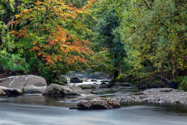 Foto ver a lo largo del río glaslyn en otoño