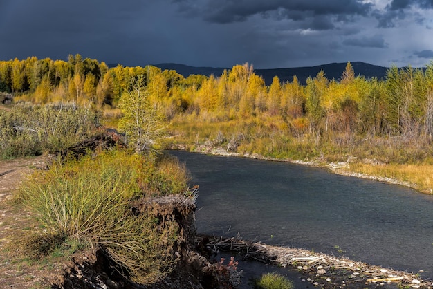 Ver a lo largo del río Gros Ventre en otoño