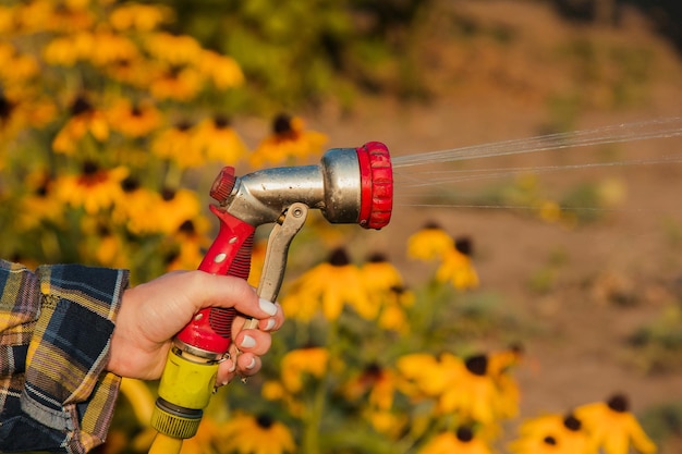 Ver las manos de la mujer regando las plantas de la manguera hace que llueva en el jardín Jardinero con manguera de riego y rociador de agua en las flores