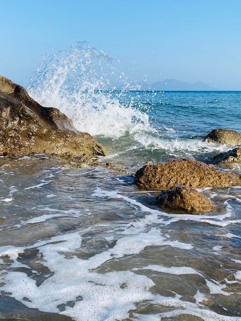 Ver en el mar