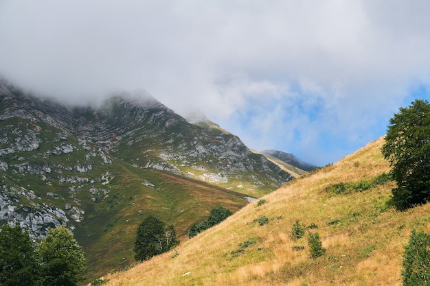 Ver en las montañas del Cáucaso a principios de otoño