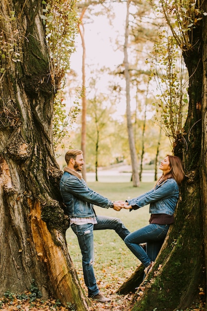 Ver no casal sorridente, abraçando no outono park