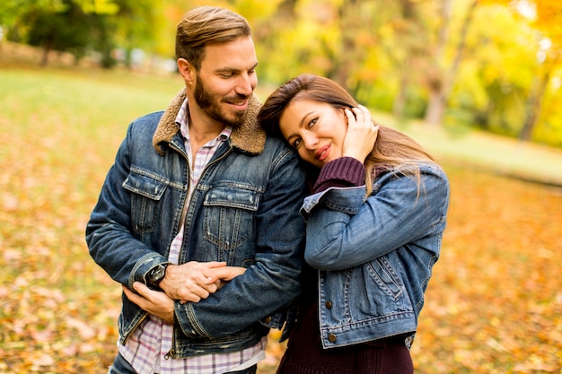 Ver no casal sorridente, abraçando no outono park