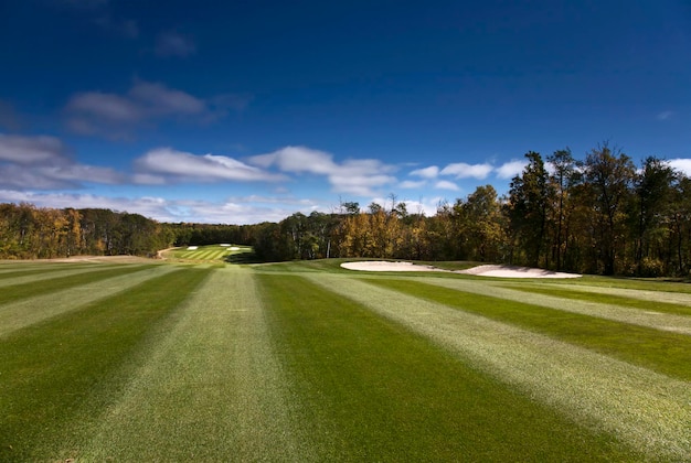 Ver o fairway em um campo de golfe