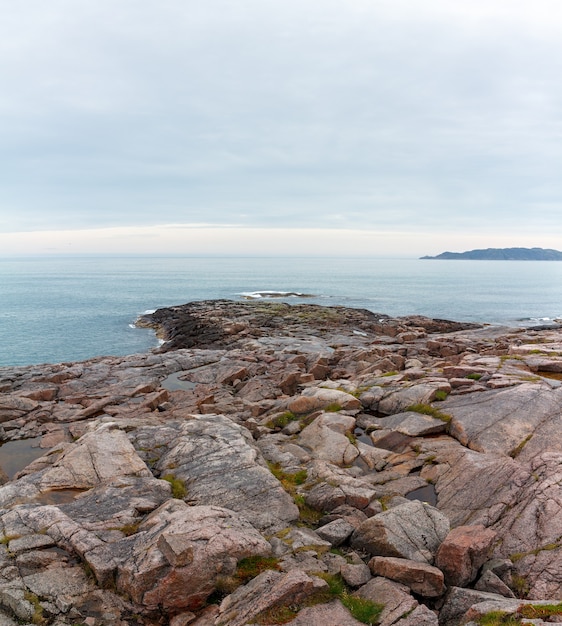 Ver en la orilla rocosa del mar de Barents. Península de Kola, Ártico, Rusia