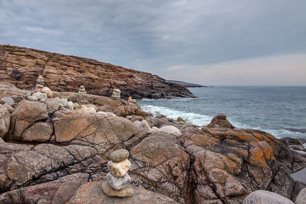 Ver en la orilla rocosa del mar de Barents. Península de Kola, Ártico, Rusia.