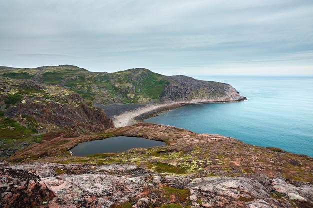 Ver en la orilla rocosa del mar de Barents. Península de Kola, Ártico, Rusia.