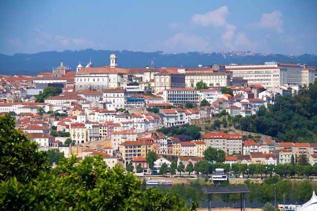 Ver os na cidade de coimbra, portugal