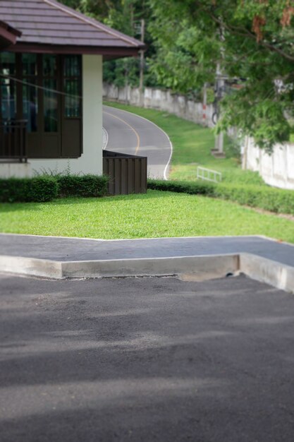 Ver paisagem de planta de árvore em parque público, fotografia