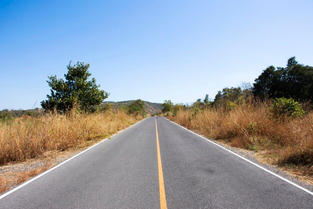 Foto ver paisagem floresta selva e campo rua estrada para o povo tailandês viajantes viagem visita e descanso relaxar na montanha khao phraya doen thong na cidade de phatthana nikhom em lopburi tailândia