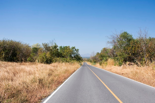 Ver paisagem floresta selva e campo rua estrada para o povo tailandês viajantes viagem visita e descanso relaxar na montanha khao phraya doen thong na cidade de phatthana nikhom em lopburi tailândia