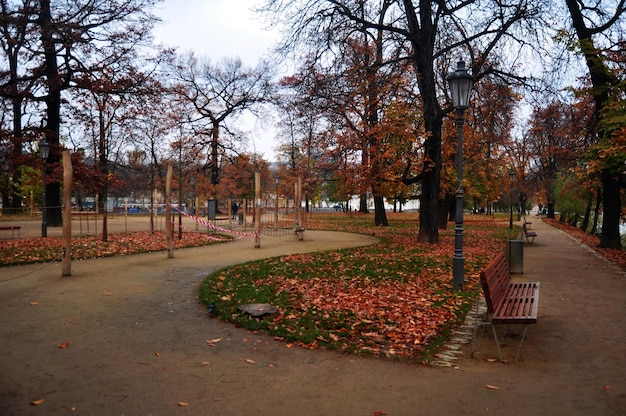 Ver el paisaje y el banco de madera en el parque público del jardín en otoño temporada de otoño para la gente de Chequia los viajeros extranjeros viajan visitan y descansan relajarse por la mañana en la ciudad de Praha en Praga República Checa