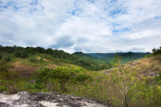 Ver el paisaje con el bosque de montaña de Khao Lon Adventure para los tailandeses y los viajeros extranjeros viajar visitar descansar relajarse senderismo trekking en el mirador en la jungla en la ciudad de Sarika en Nakhon Nayok Tailandia