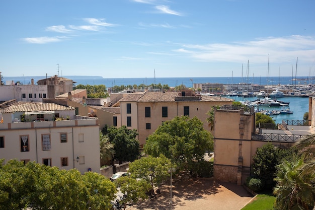 Ver en Palma de Mallorca