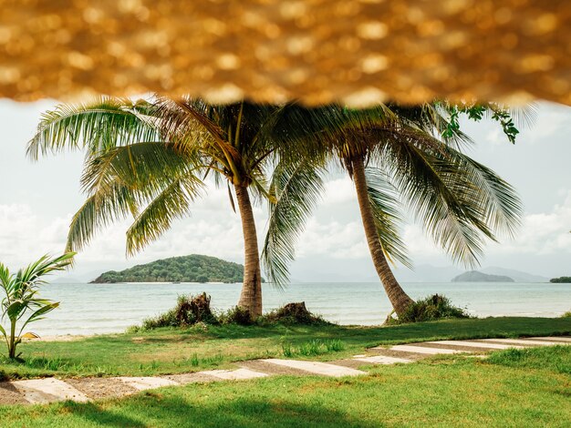 Ver en palmeras y playa tropical desde sombrero