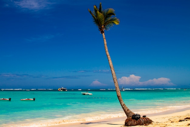 Ver en playa tropical en el mar Caribe