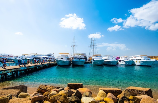 Ver en el puerto con barcos blancos