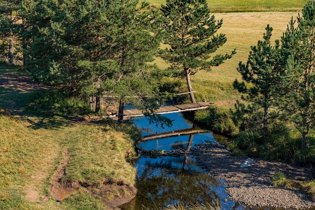 Ver en el río Crni Rzav en la montaña Zlatibor en Serbia