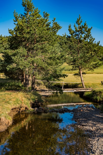 Ver en el río Crni Rzav en la montaña Zlatibor en Serbia