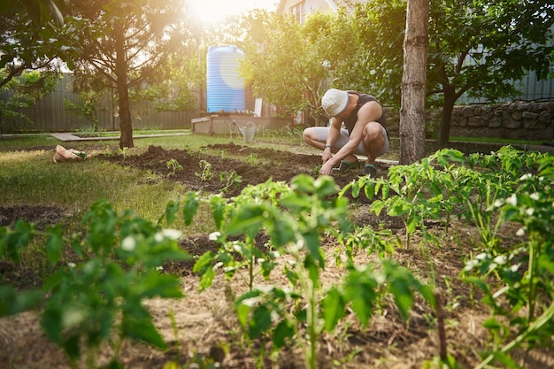 Ver a través de plántulas de tomate borrosas a un agricultor que planta plántulas de tomate de suelo negro en el huerto En el fondo, una lata de riego para riego