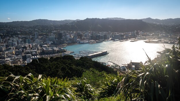 Ver en Wellington desde el mirador de la montaña