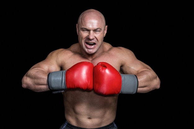 Verärgerter kahler Boxer mit lochenden Handschuhen