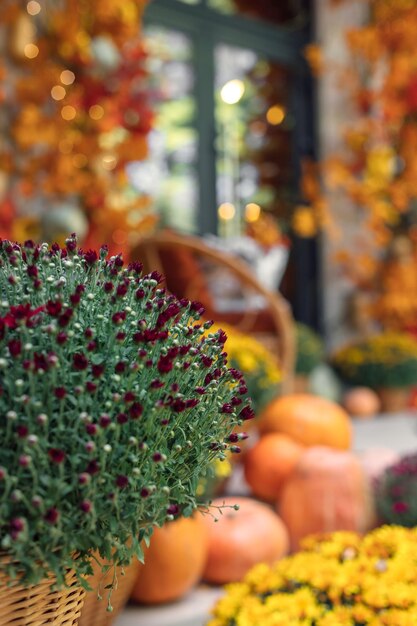 Foto veranda des hauses geschmückt mit kürbissen und blumen für thanksgiving oder halloween