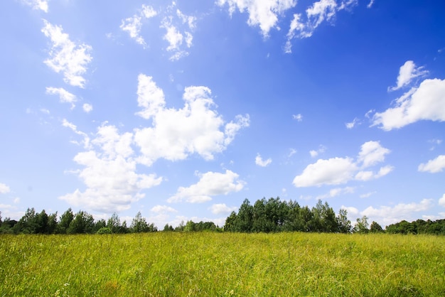 El verano en el campo en Letonia, Europa del Este. Vista del paisaje con campo verde, bosque y cielo azul con nubes en un día soleado de verano