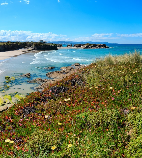 Verano floreciente costa atlántica y playa de arena Los Castros (Galicia, España). Imagen de puntada de dos disparos.