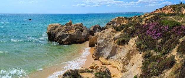 Verano floreciente vista de la costa rocosa del Atlántico con flores de color púrpura y una estrecha playa de arena (afueras de Albufeira, Algarve, Portugal). Panorama de cosido de dos disparos.