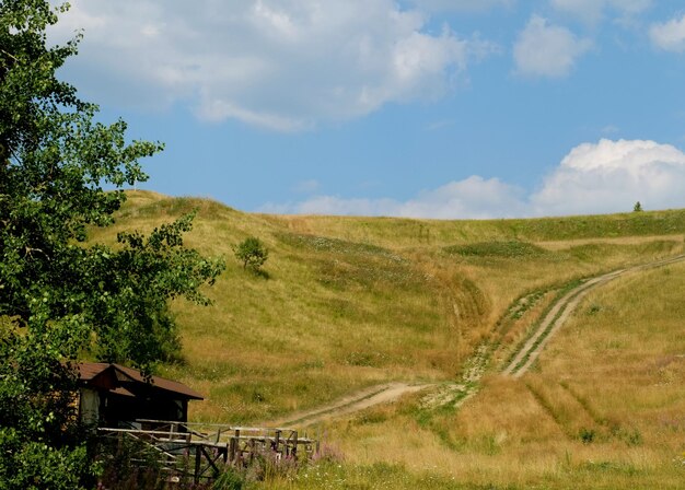 Verano hermoso paisaje de los Cárpatos Ucrania Europa