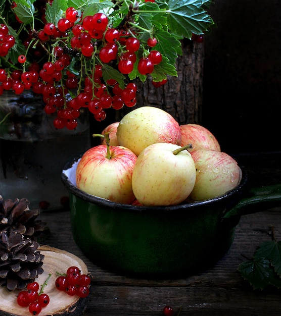 Verano jardin manzanas rojo grosella