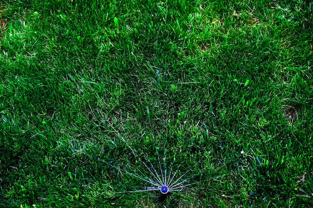 Foto verano en el jardín riego automático riego de césped verde