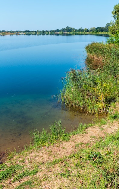 Verano lago calma orilla juncosa