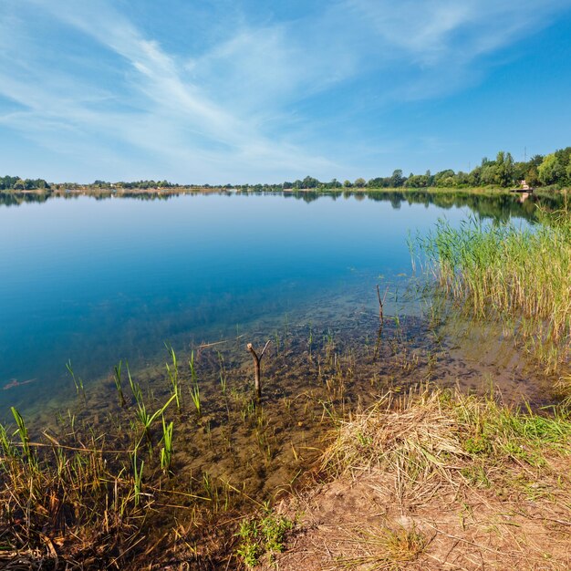 Verano lago calma orilla juncosa