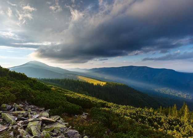 Verano montaña de los Cárpatos Ucrania