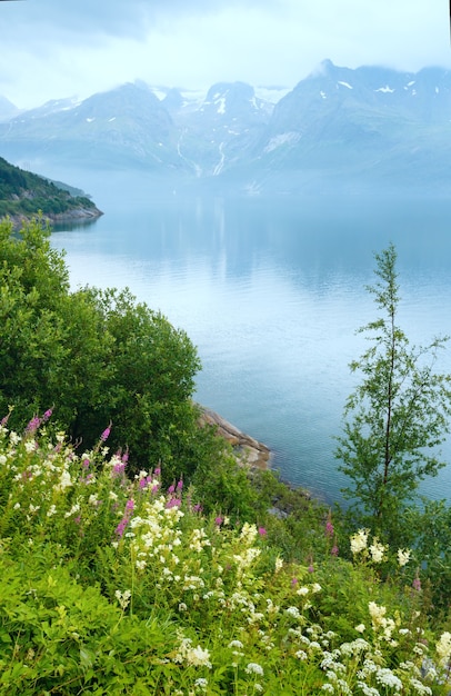 Verano nublado vista sobre Glomfjorden, Nordland, Noruega