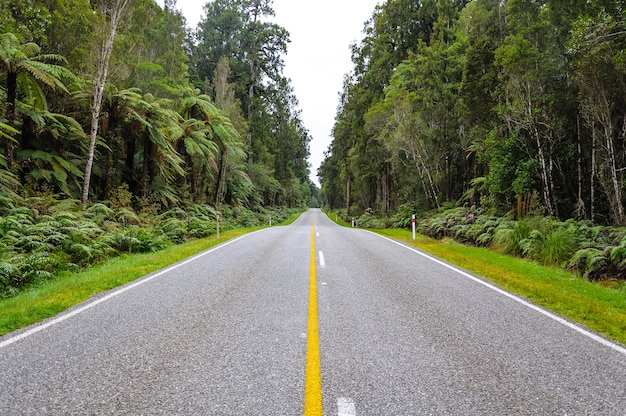 Verano de Nueva Zelanda Road Landscape, Isla Sur, Nueva Zelanda