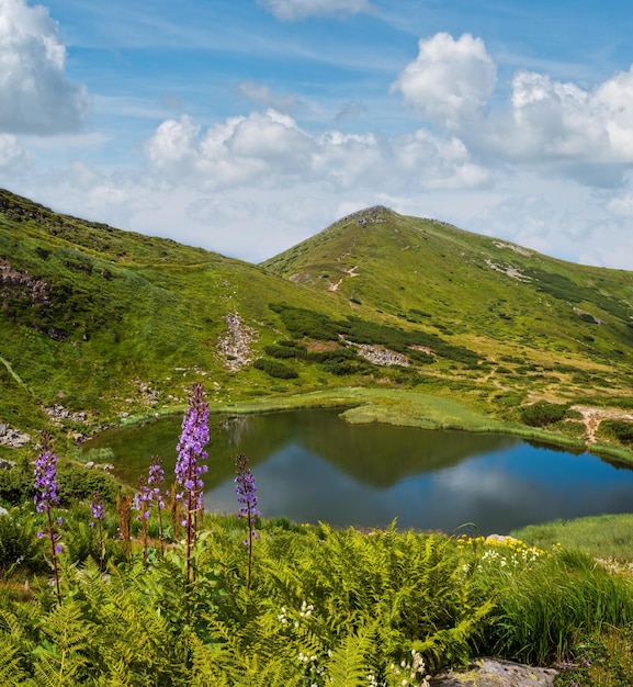 Foto verano paisaje del lago nesamovyte cordillera de chornohora montañas de los cárpatos ucrania