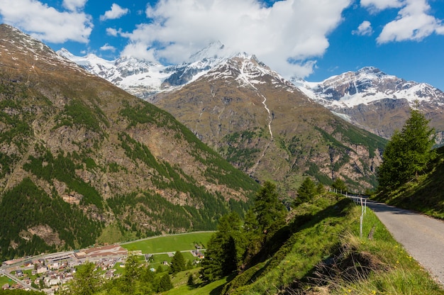 Verano paisaje de montaña de los Alpes con bosque de abetos en pendiente y cimas rocosas cubiertas de nieve en lejos, Suiza