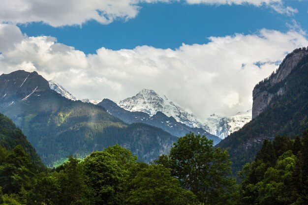 Verano paisaje de montaña de los Alpes con bosque de abetos en pendiente y cimas rocosas cubiertas de nieve en lejos, Suiza