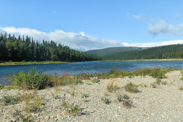 Verano en el Parque Nacional Yugyd Va