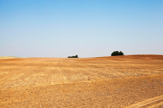 Verano de la tierra arada