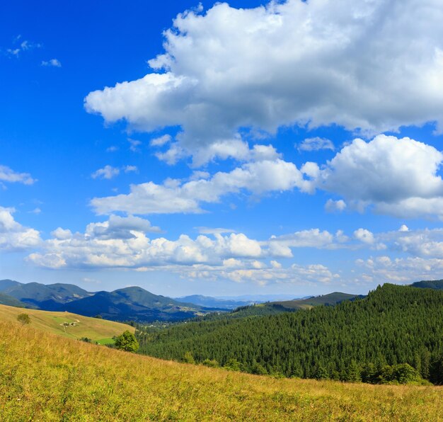 Foto verano vista a la montaña de los cárpatos ucrania