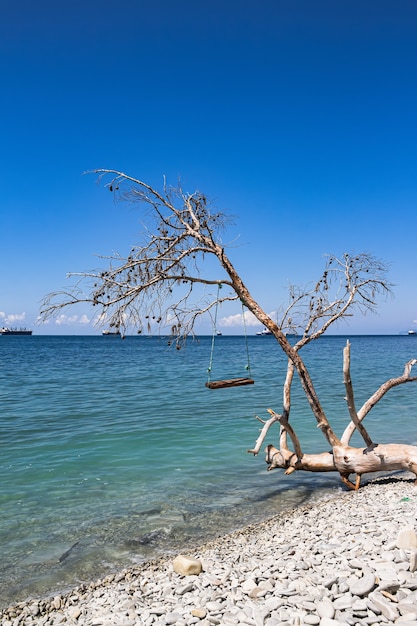 Foto verano con vistas al mar, playa de piedra con columpios en un árbol caído y buques de carga