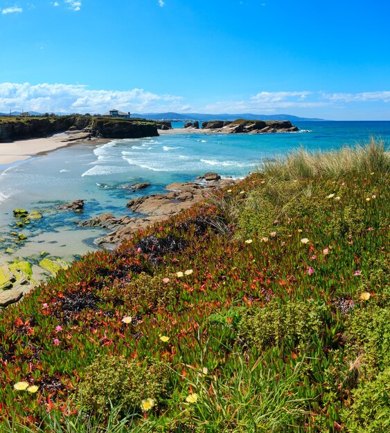 Verão em flor na costa atlântica e na praia arenosa de Los Castros (Galiza, Espanha). Dois tiros costuram a imagem.