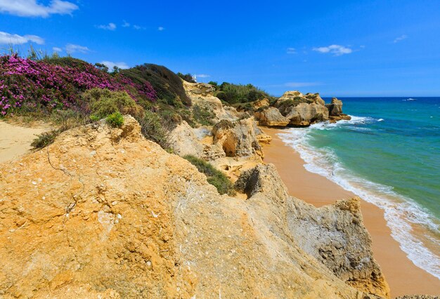 Verão em flor na costa rochosa do Atlântico com flores roxas e praia estreita (arredores de Albufeira, Algarve, Portugal).