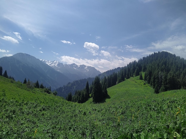 Foto verão nas montanhas zailiyskiy alatau cazaquistão